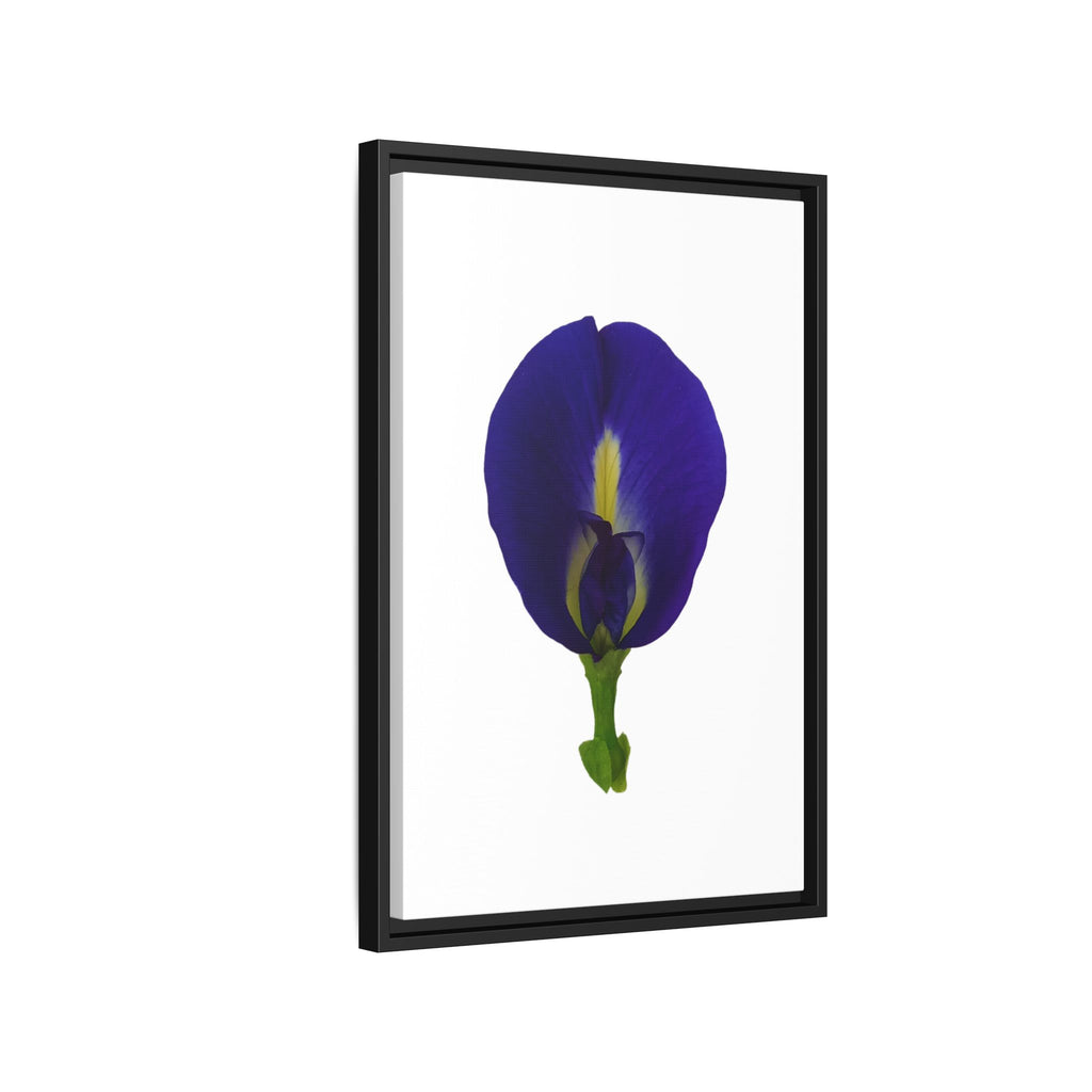 Original Butterfly Pea Flower Framed Canvas Wall Art
