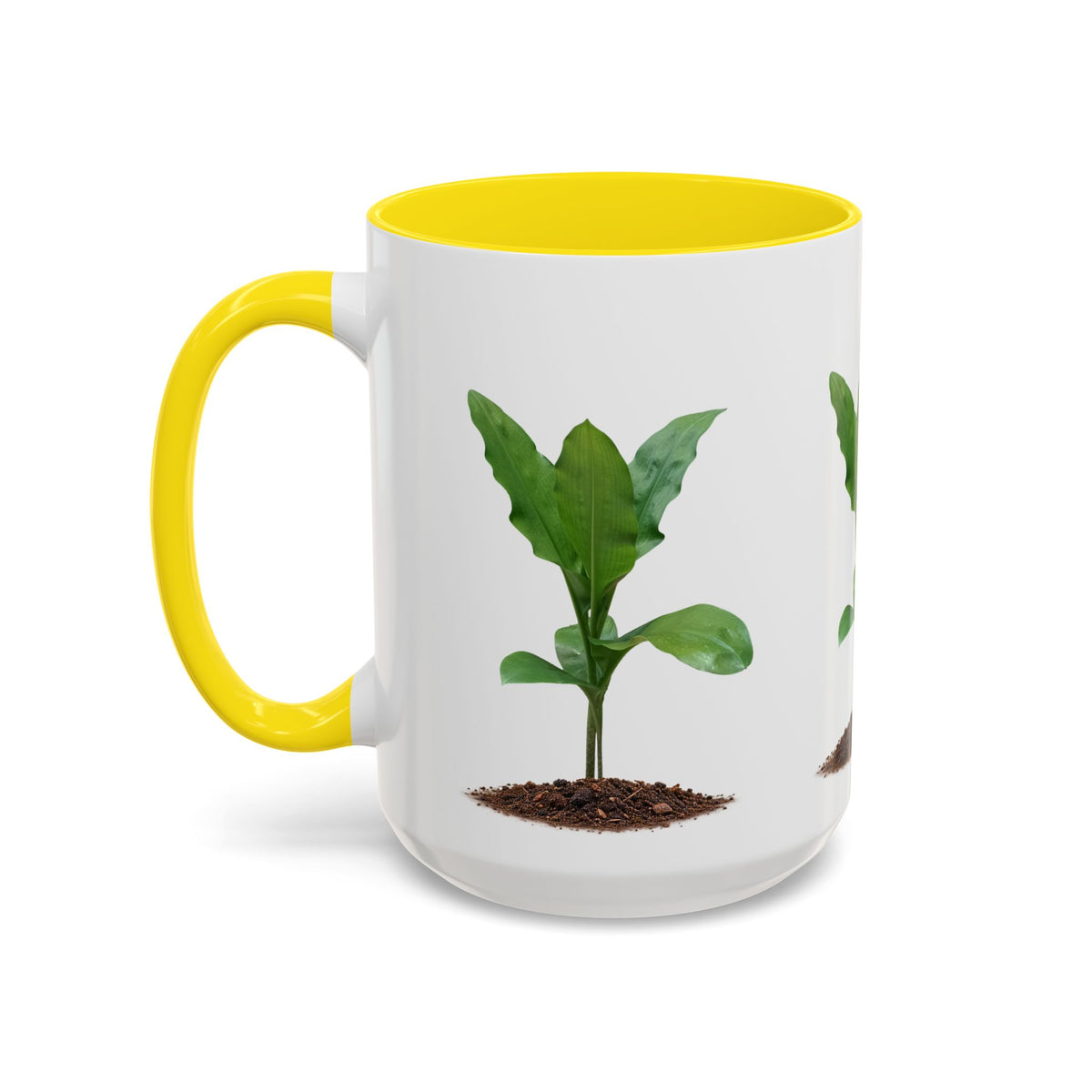 Blood Lily Ceramic Coffee Mug – Original Botanical Photography