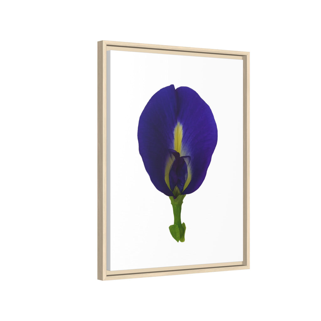 Original Butterfly Pea Flower Framed Canvas Wall Art