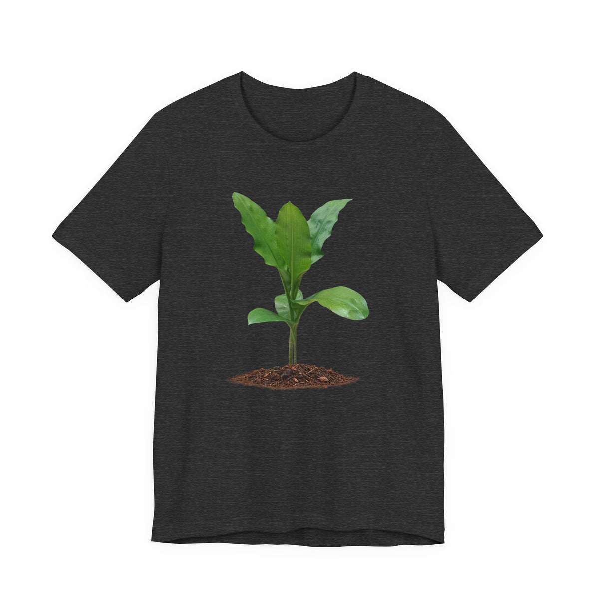 Blood Lily Botanical T-Shirt — Original Photography