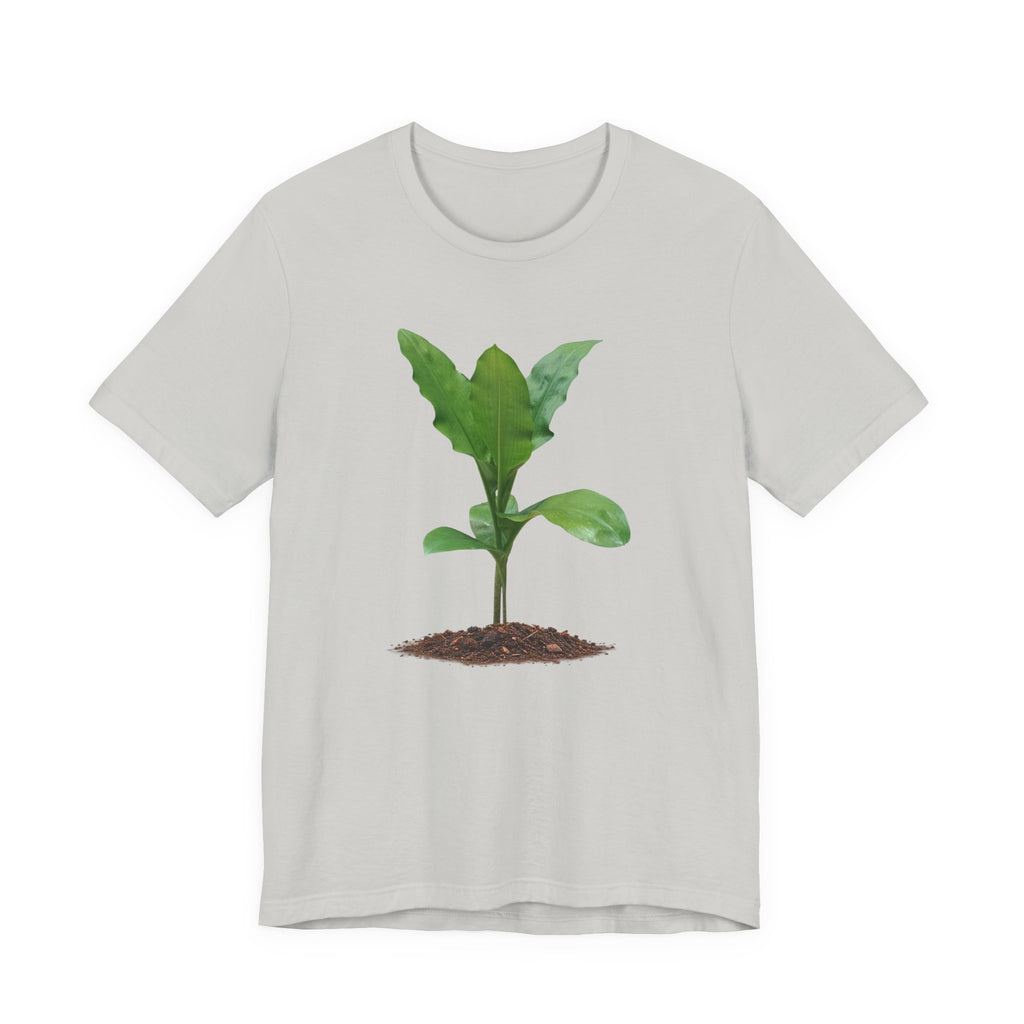 Blood Lily Botanical T-Shirt — Original Photography