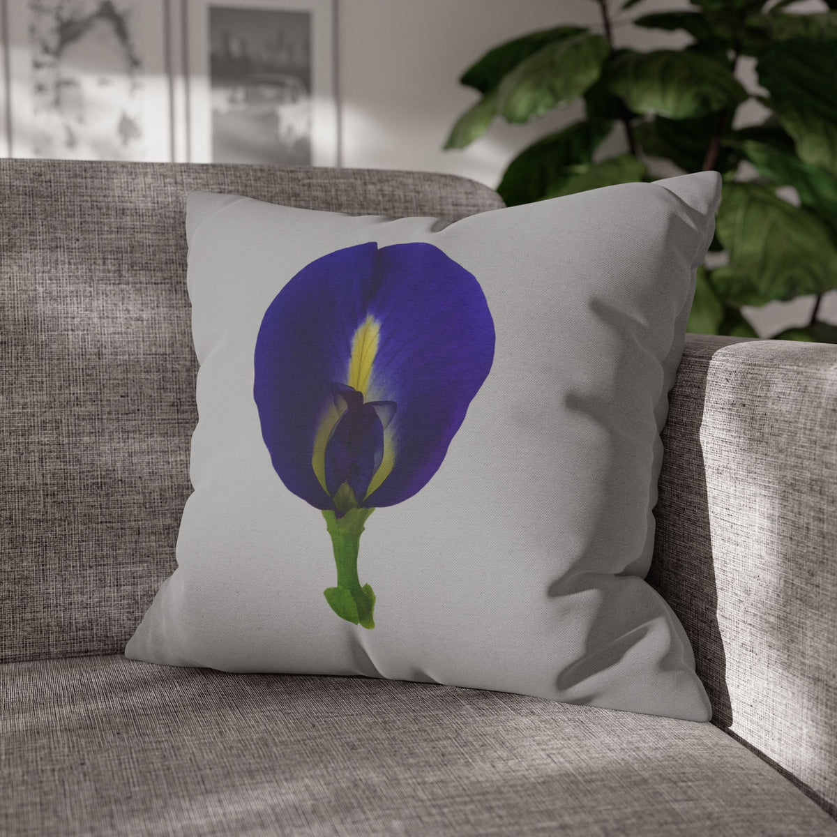 Original Butterfly Pea Flower Pillow Cover | Botanical Photography