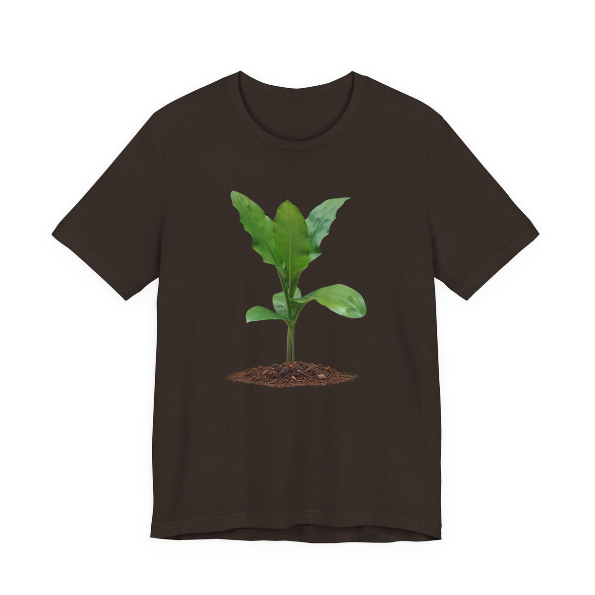 Blood Lily Botanical T-Shirt — Original Photography