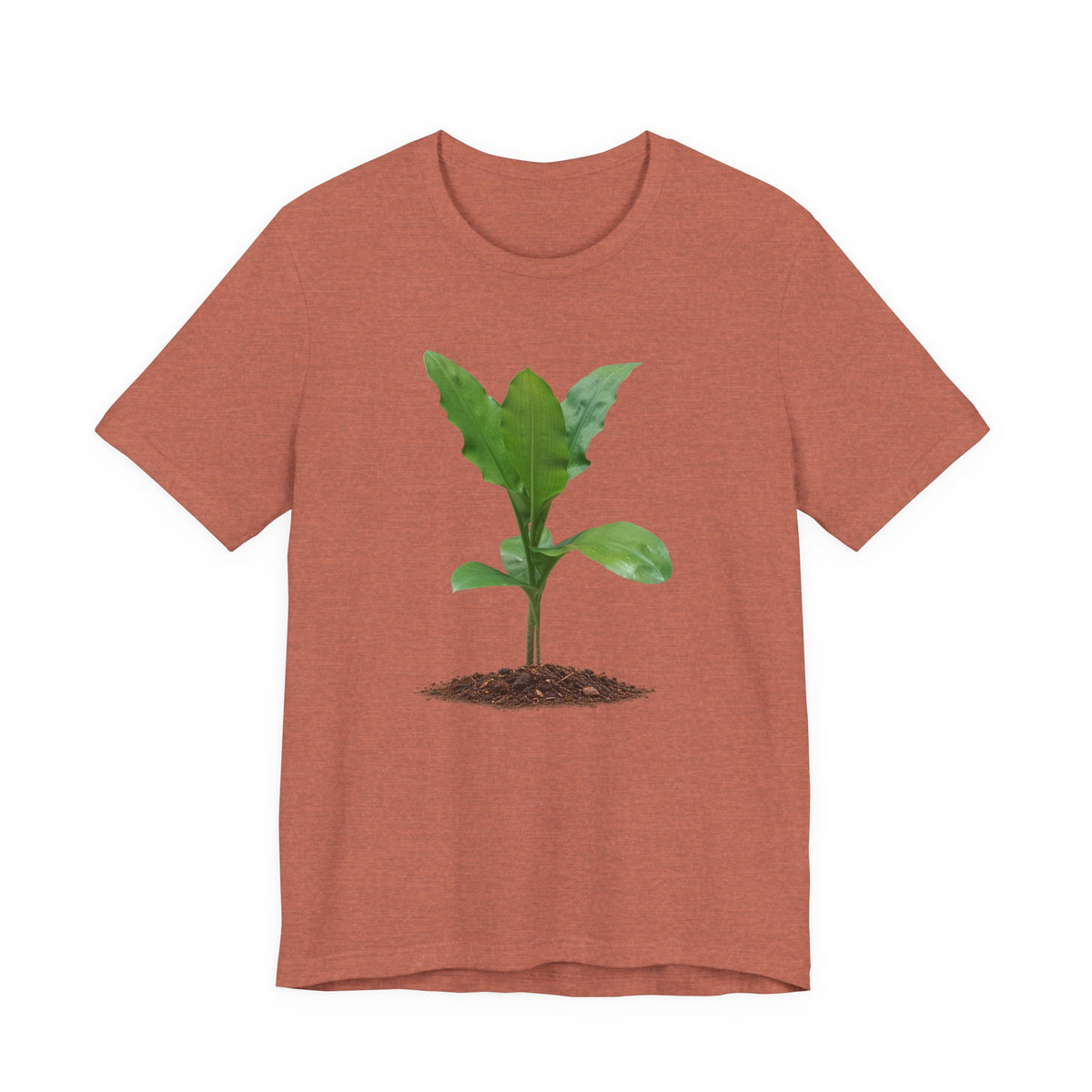 Blood Lily Botanical T-Shirt — Original Photography