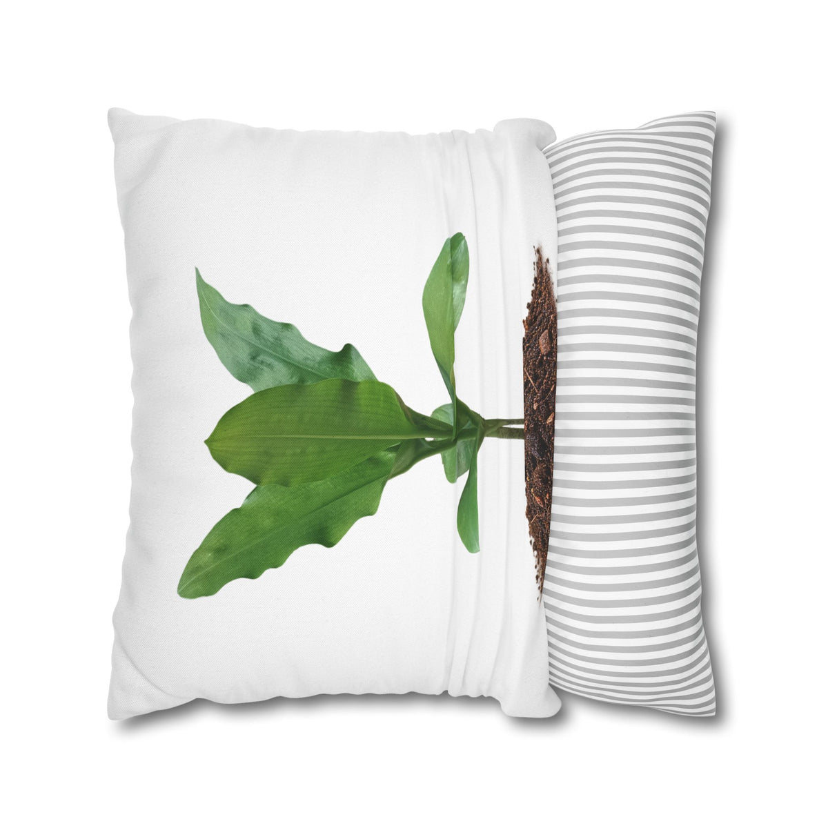 Blood Lily Botanical Pillow Cover — Original Photography