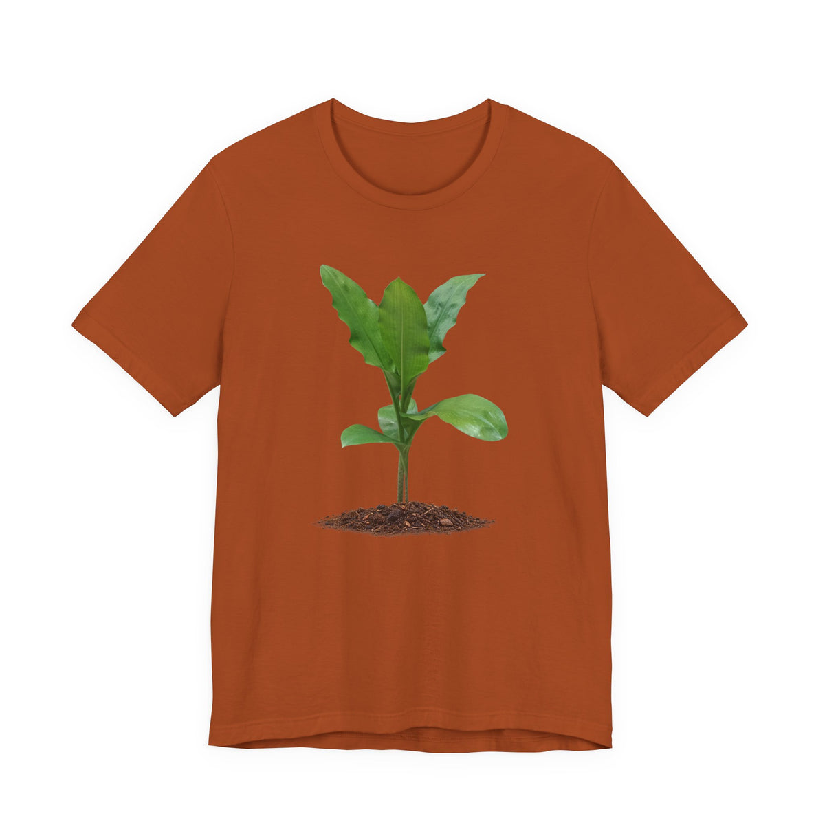 Blood Lily Botanical T-Shirt — Original Photography