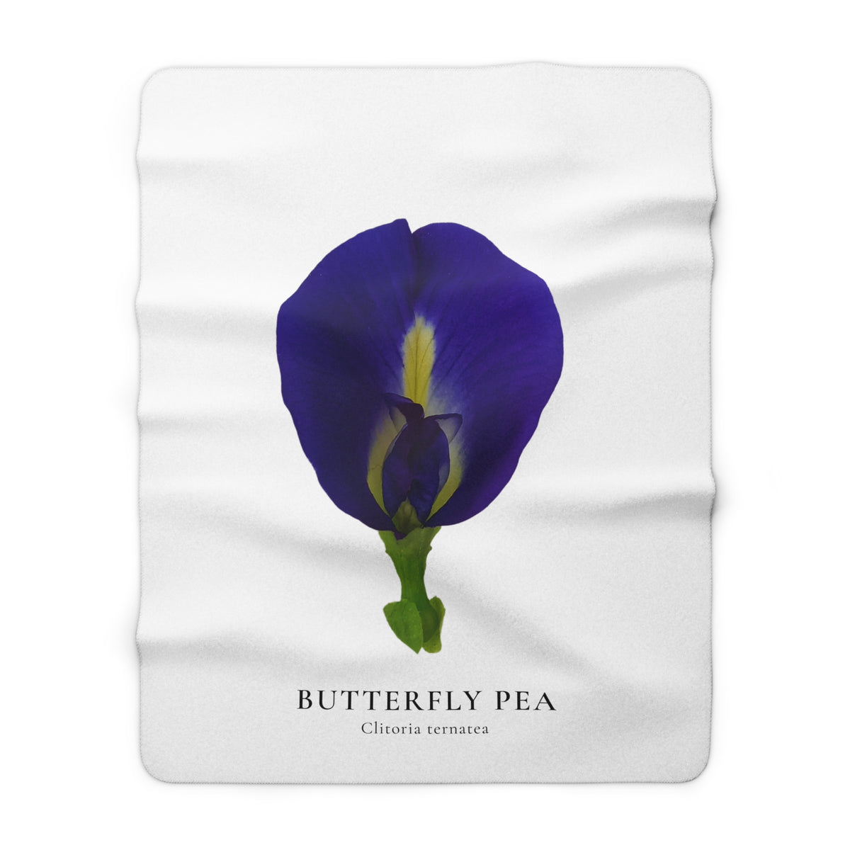 Original Butterfly Pea Flower Sherpa Fleece Blanket