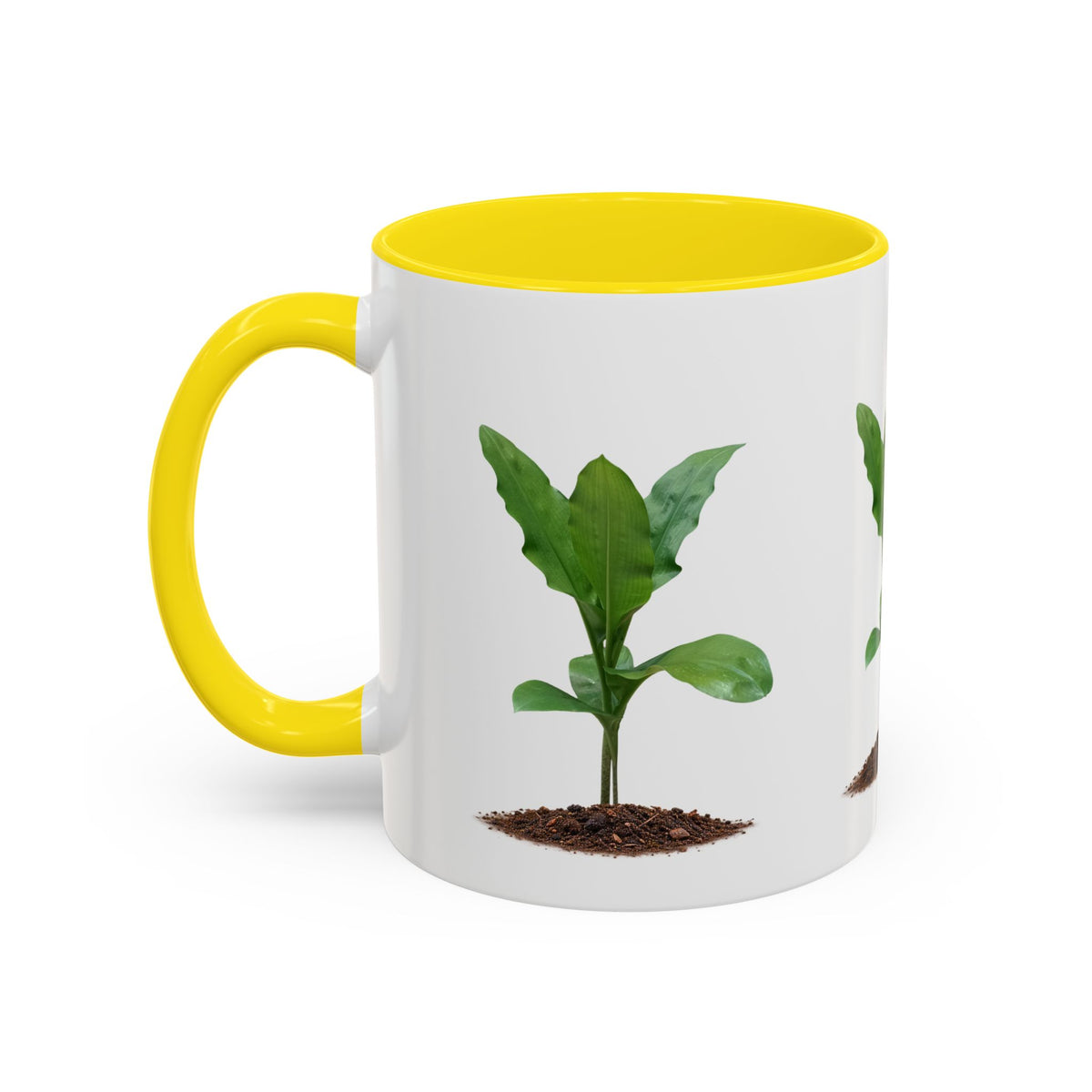 Blood Lily Ceramic Coffee Mug – Original Botanical Photography
