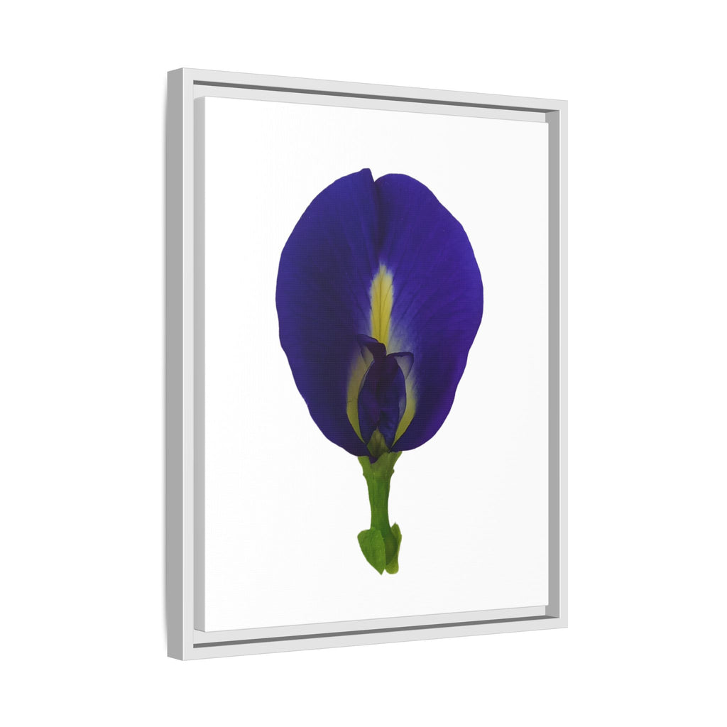 Original Butterfly Pea Flower Framed Canvas Wall Art