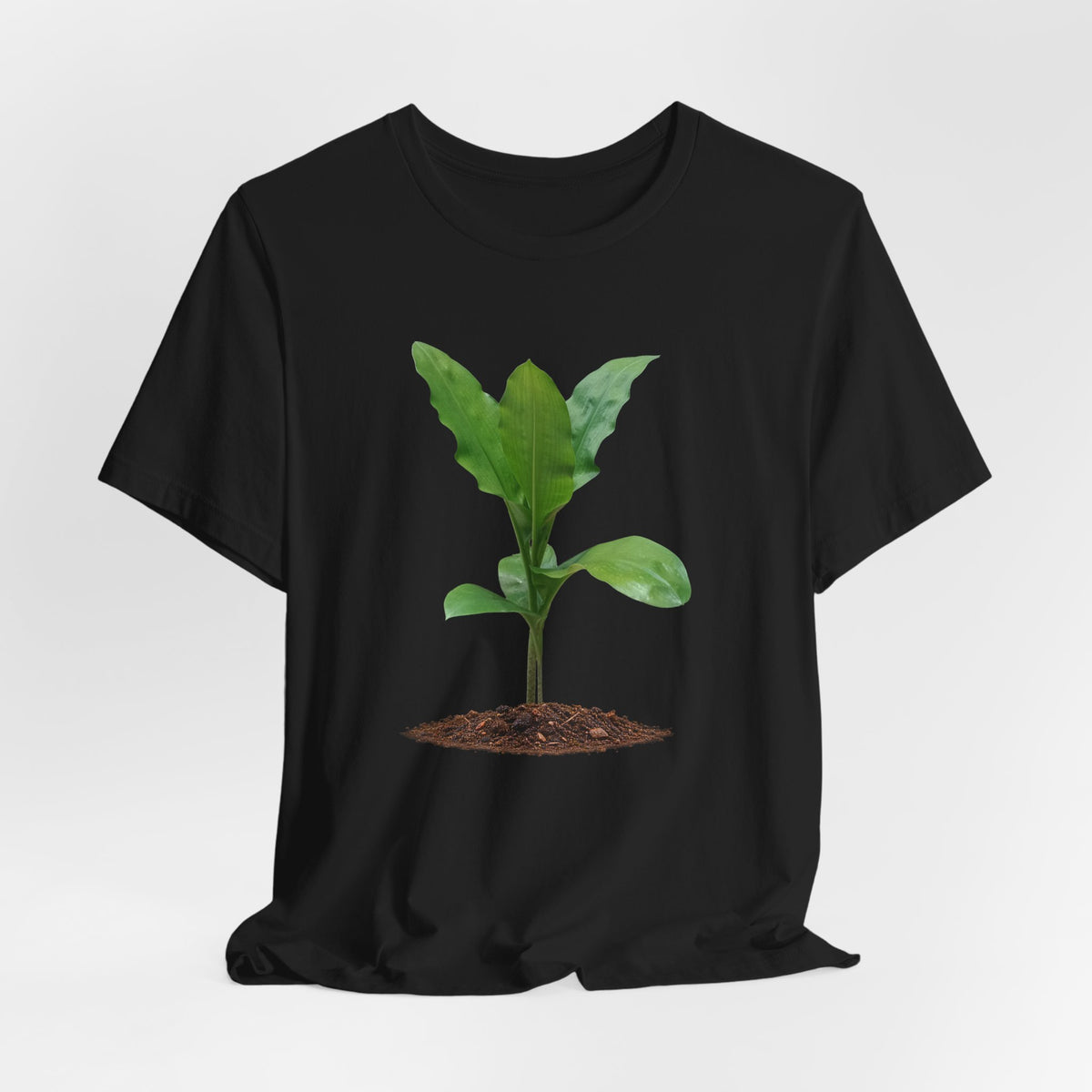 Blood Lily Botanical T-Shirt — Original Photography