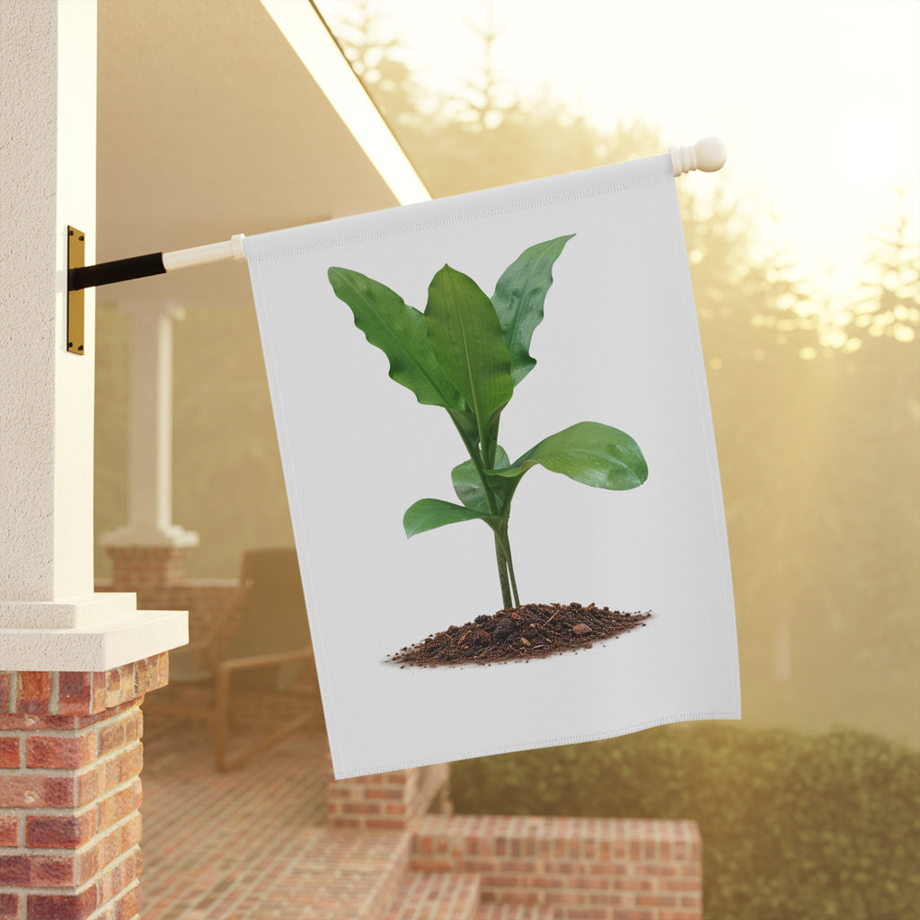 Blood Lily Plant Garden Banner | Original Botanical Photography