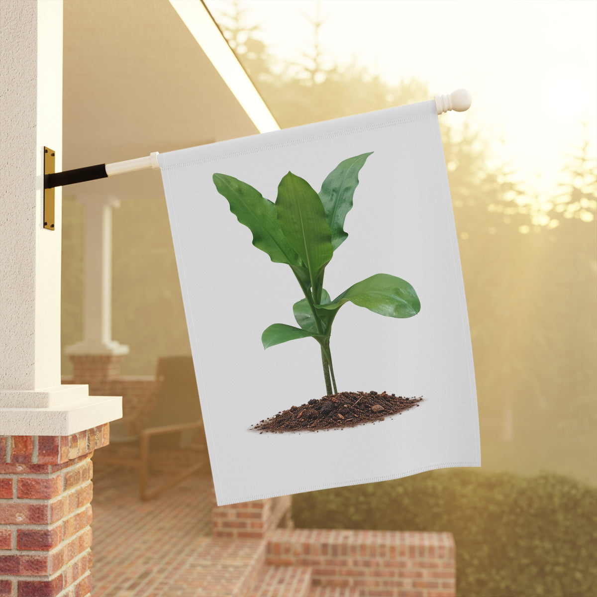 Blood Lily Plant Garden Banner | Original Botanical Photography
