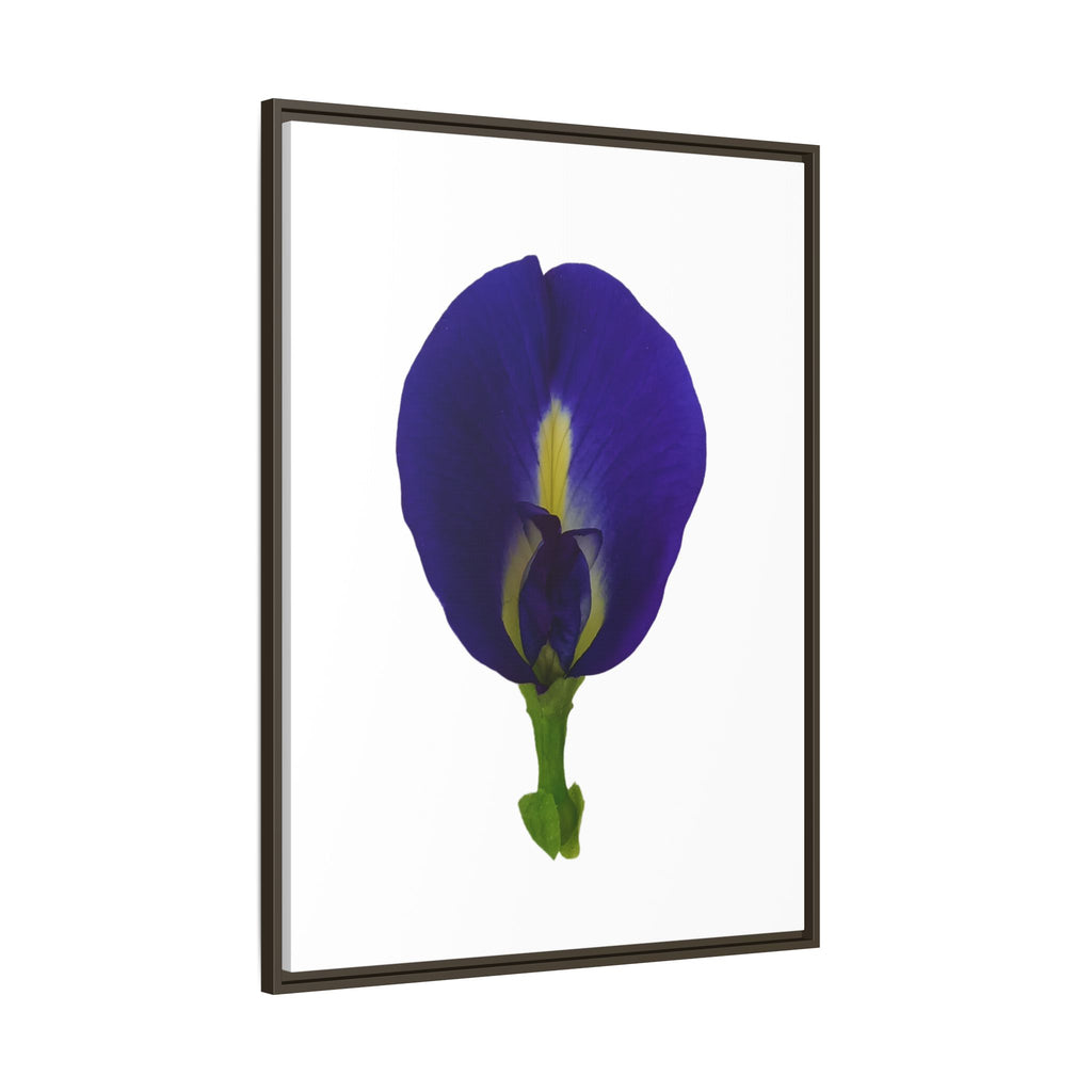 Original Butterfly Pea Flower Framed Canvas Wall Art