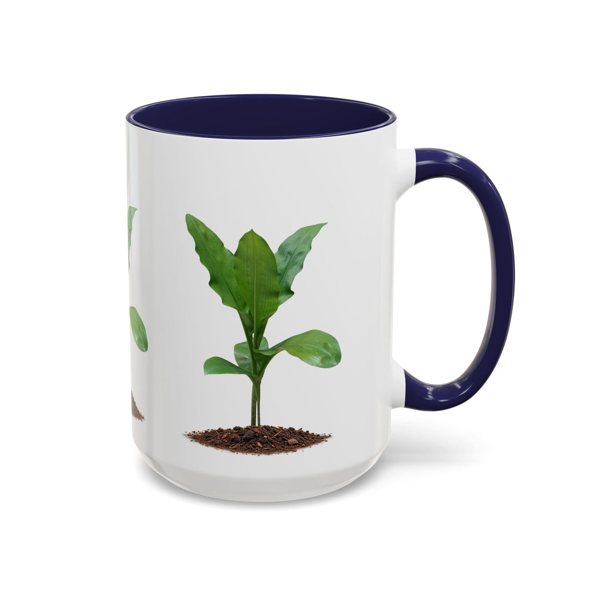 Blood Lily Ceramic Coffee Mug – Original Botanical Photography