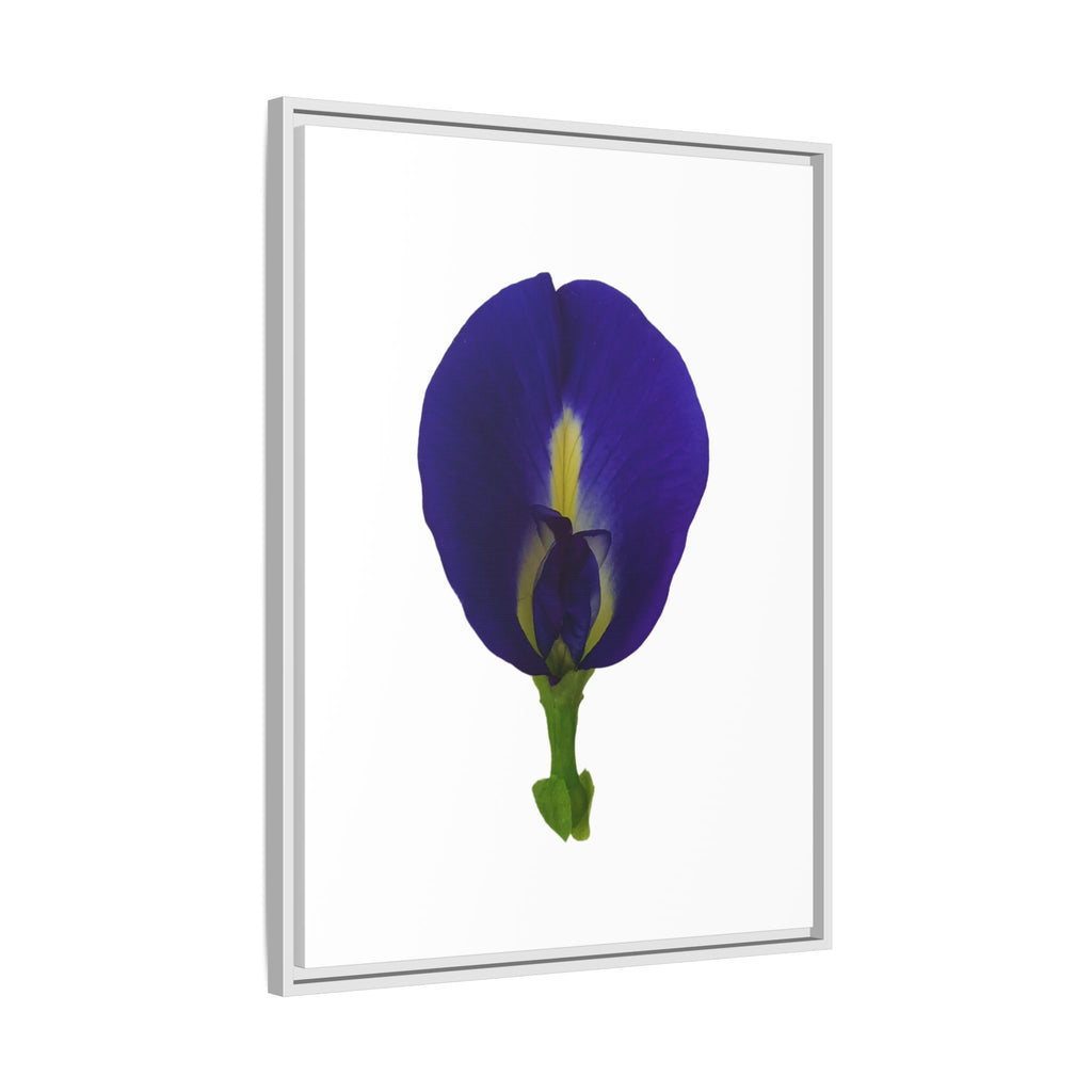 Original Butterfly Pea Flower Framed Canvas Wall Art