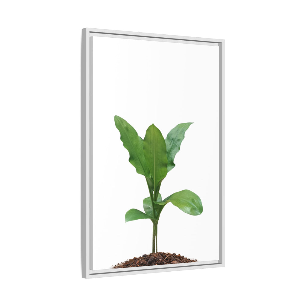 Blood Lily Plant Paintbrush Lily Plant Framed Canvas Wall Art