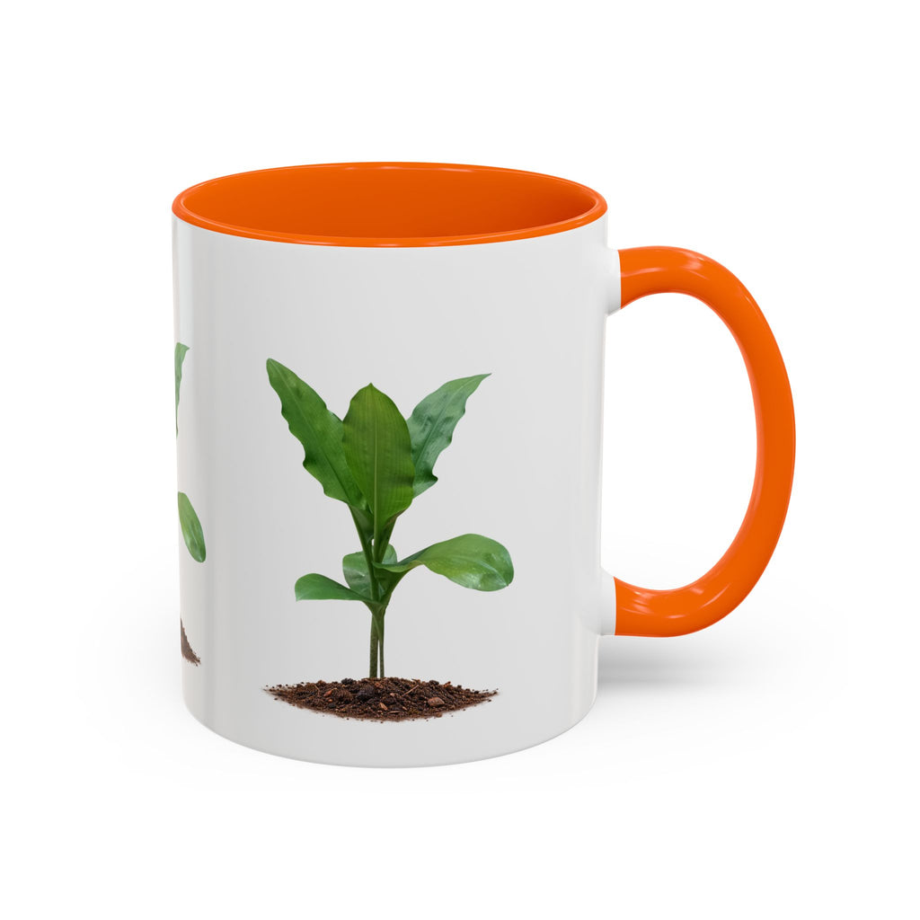 Blood Lily Ceramic Coffee Mug – Original Botanical Photography
