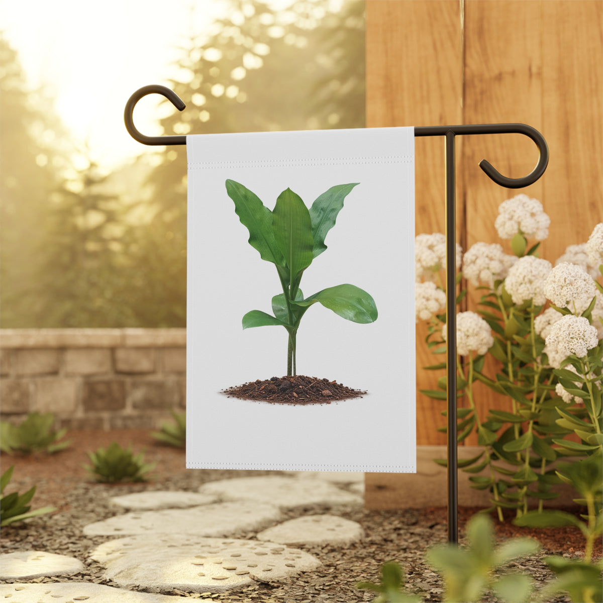 Blood Lily Plant Garden Banner | Original Botanical Photography