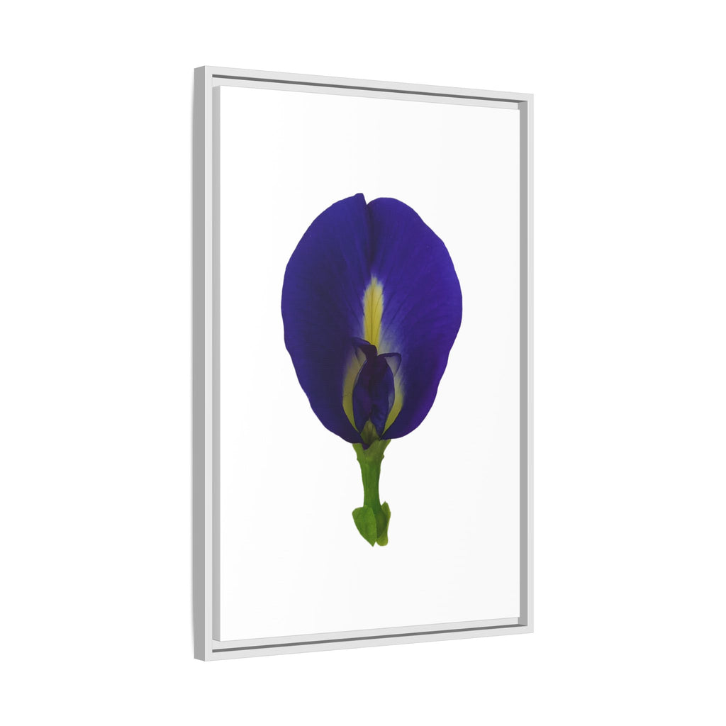 Original Butterfly Pea Flower Framed Canvas Wall Art