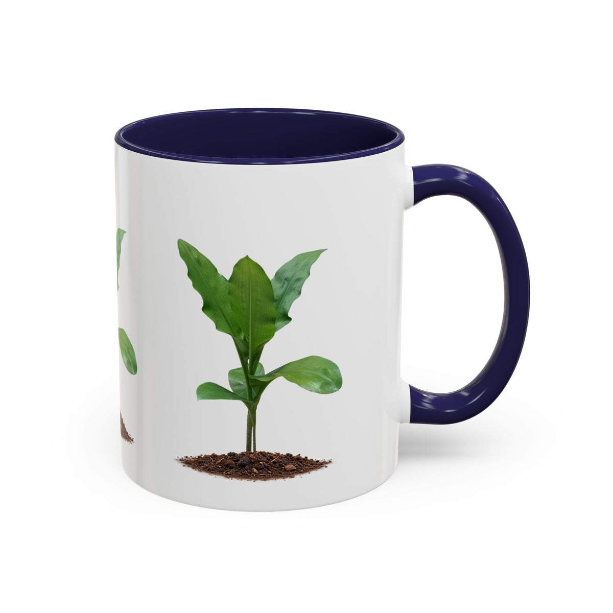 Blood Lily Ceramic Coffee Mug – Original Botanical Photography