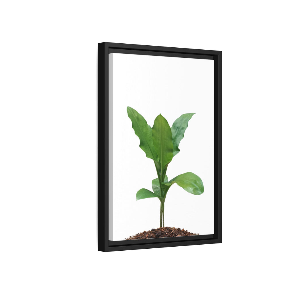 Blood Lily Plant Paintbrush Lily Plant Framed Canvas Wall Art