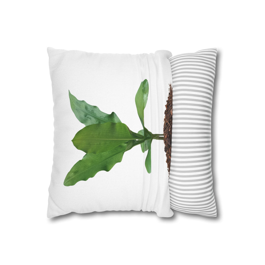 Blood Lily Botanical Pillow Cover — Original Photography