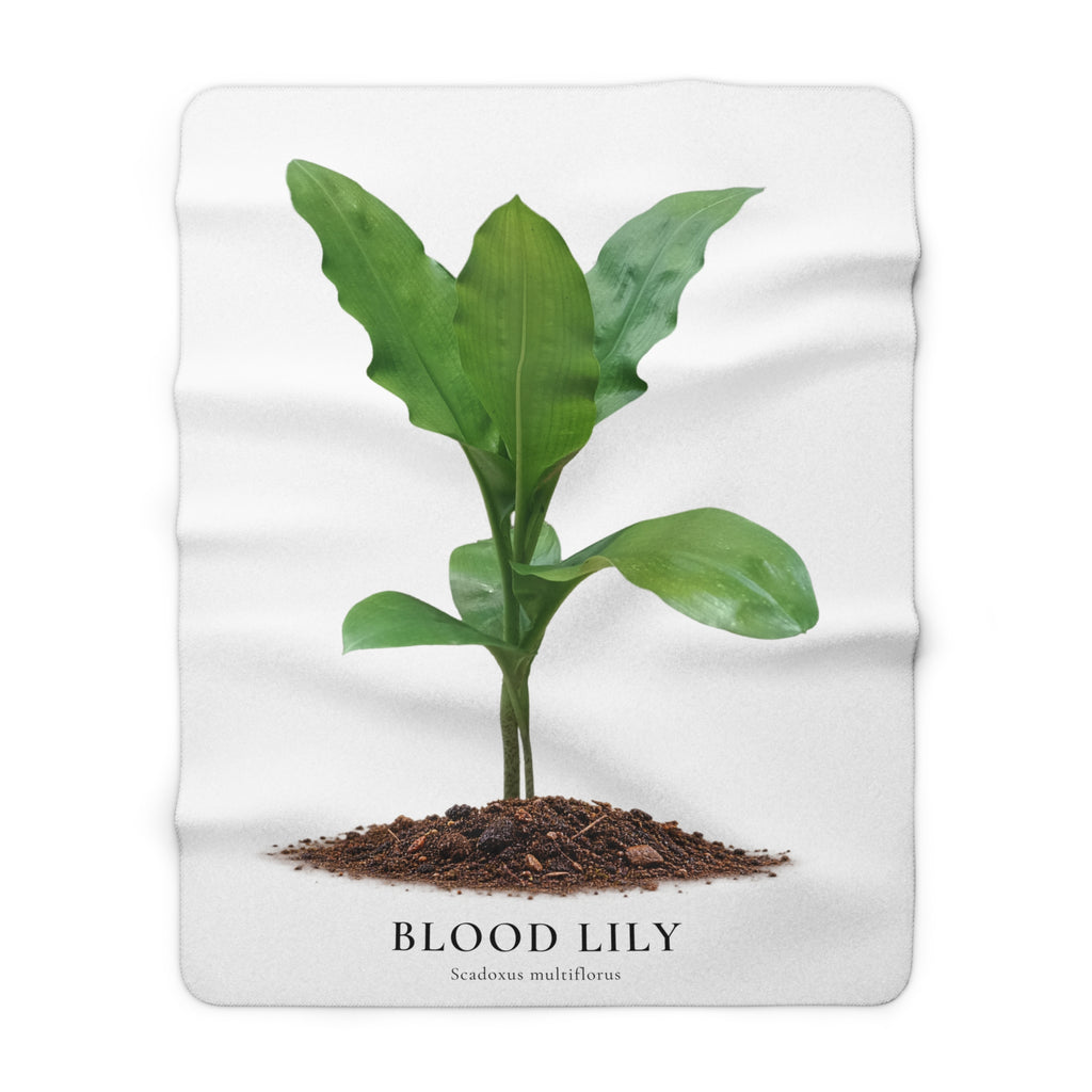 Blood Lily Plant Sherpa Fleece Blanket – Original Botanical Photography