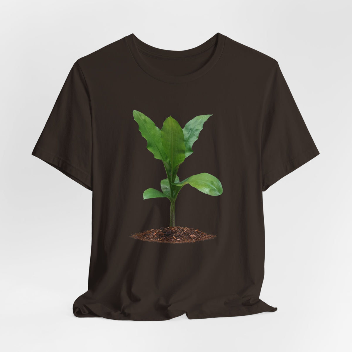 Blood Lily Botanical T-Shirt — Original Photography