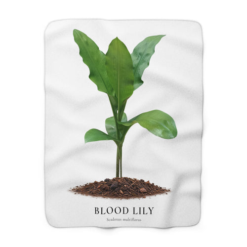 Blood Lily Plant Sherpa Fleece Blanket – Original Botanical Photography