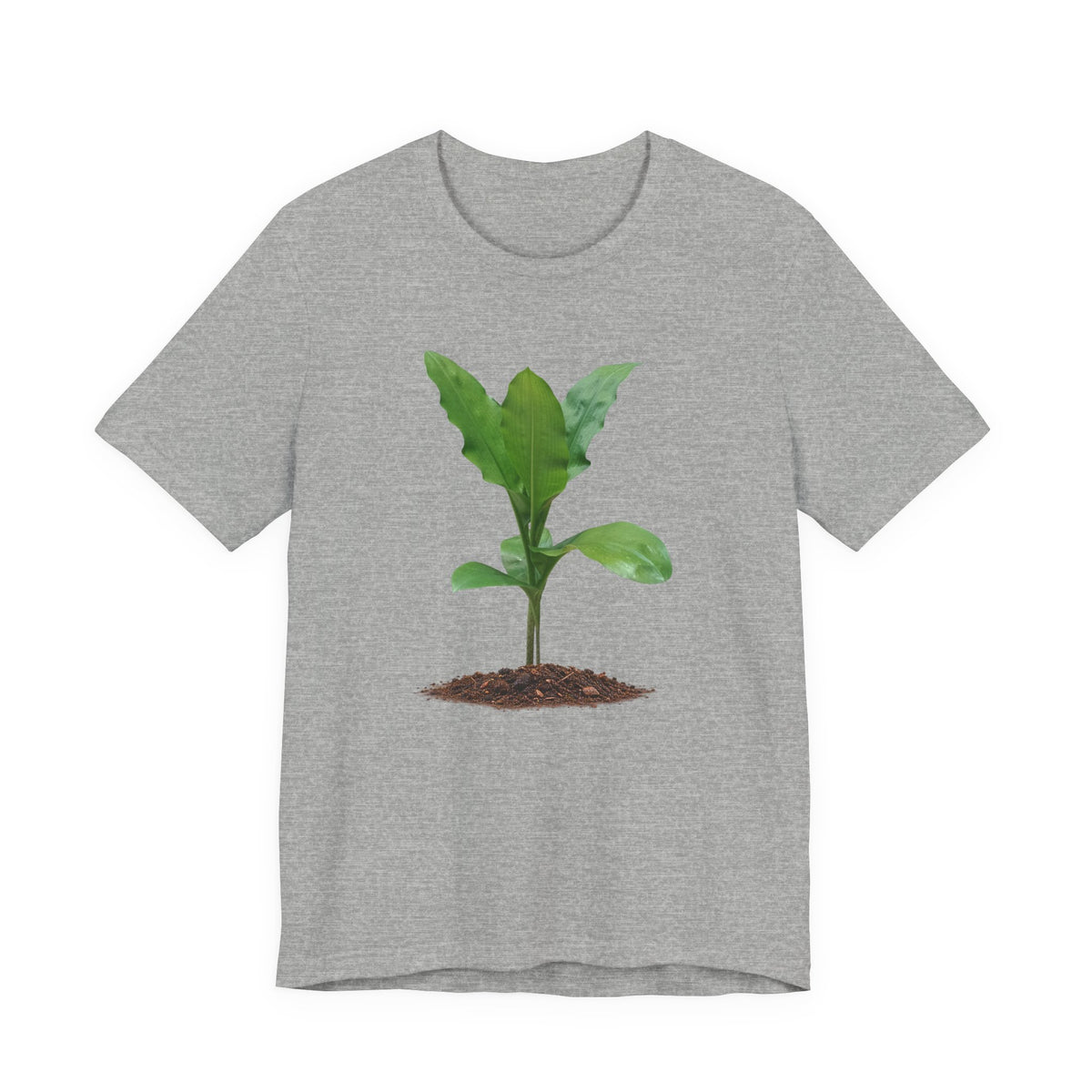 Blood Lily Botanical T-Shirt — Original Photography