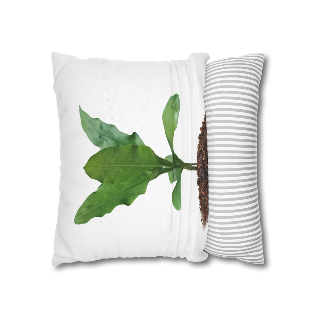 Blood Lily Botanical Pillow Cover — Original Photography