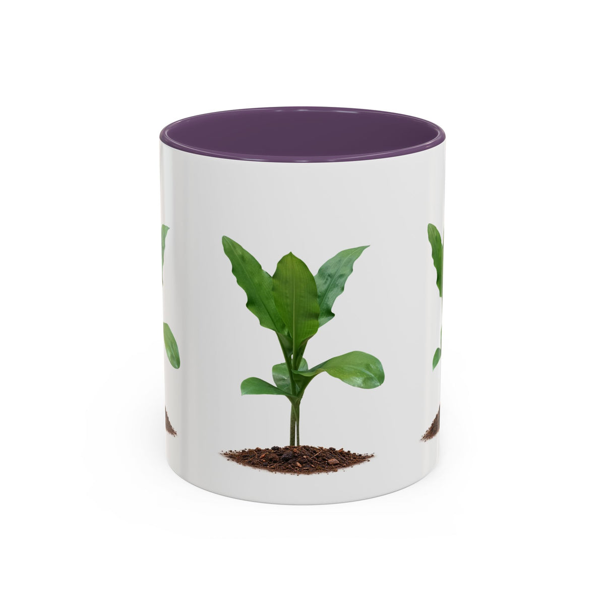 Blood Lily Ceramic Coffee Mug – Original Botanical Photography