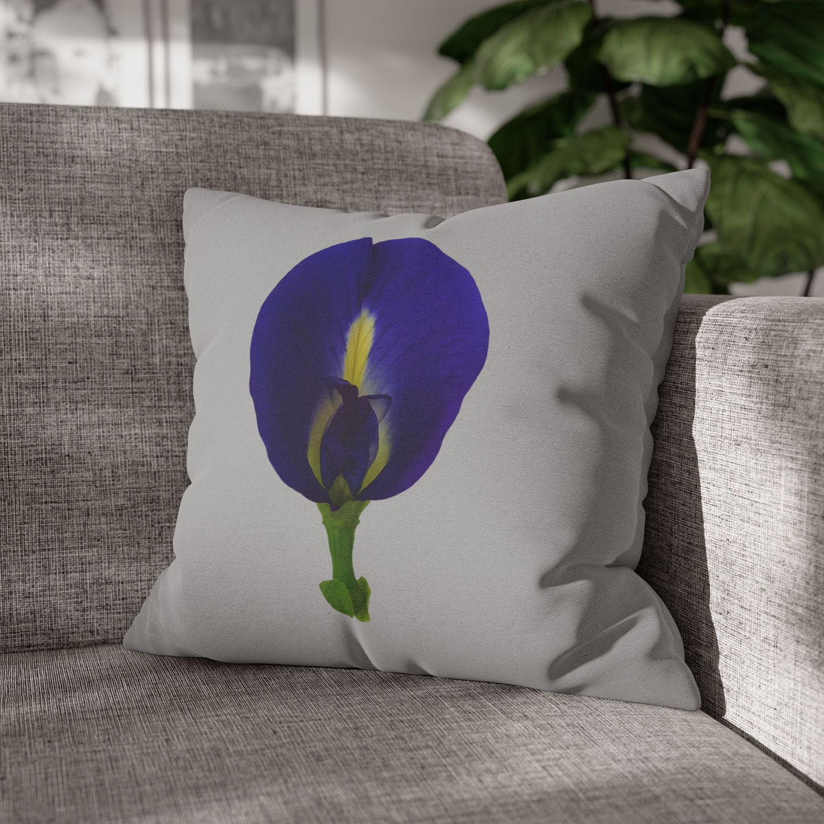 Original Butterfly Pea Flower Pillow Cover | Botanical Photography