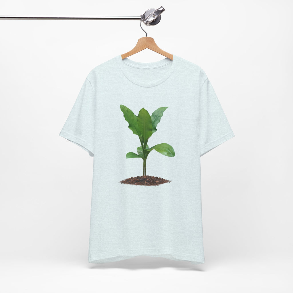 Blood Lily Botanical T-Shirt — Original Photography