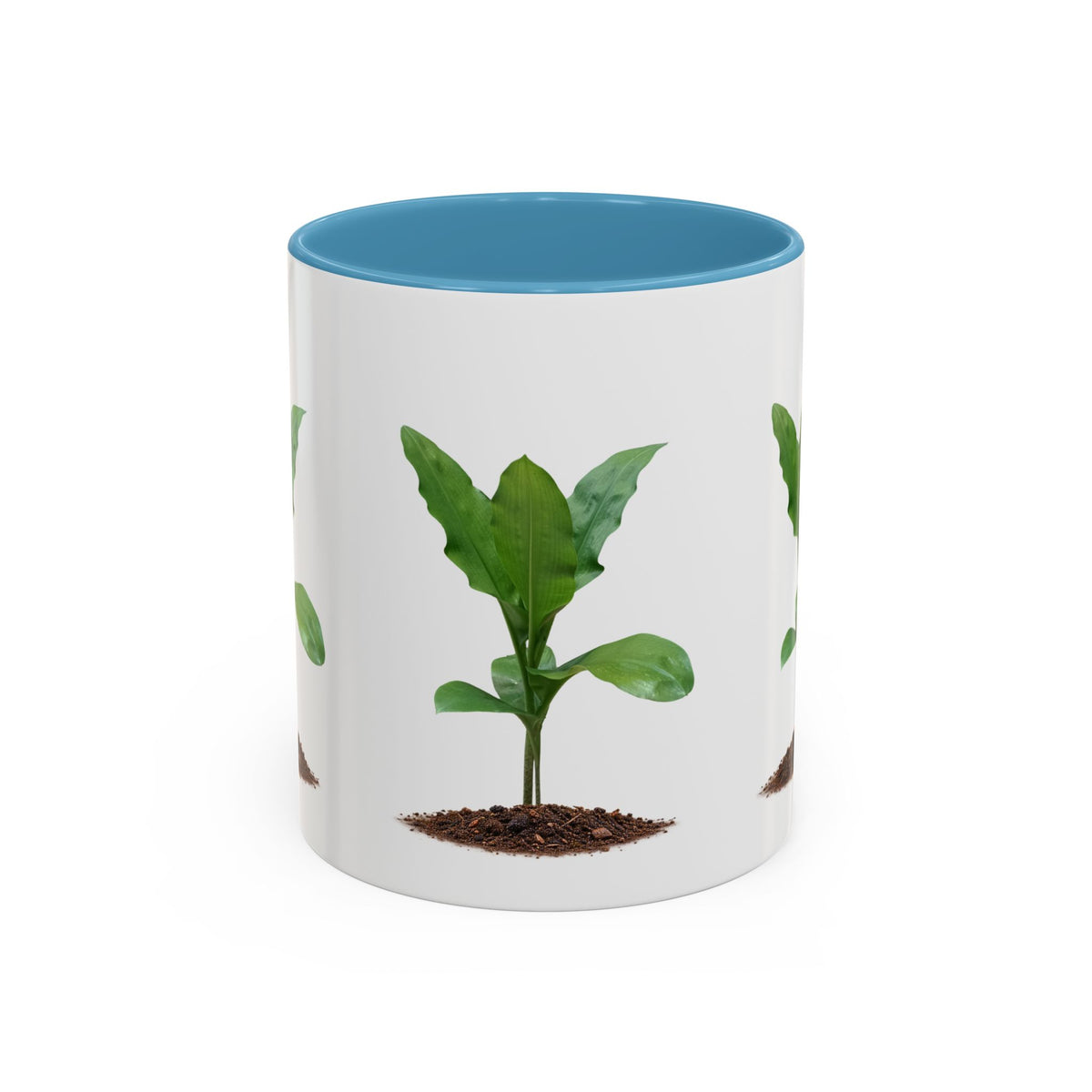 Blood Lily Ceramic Coffee Mug – Original Botanical Photography