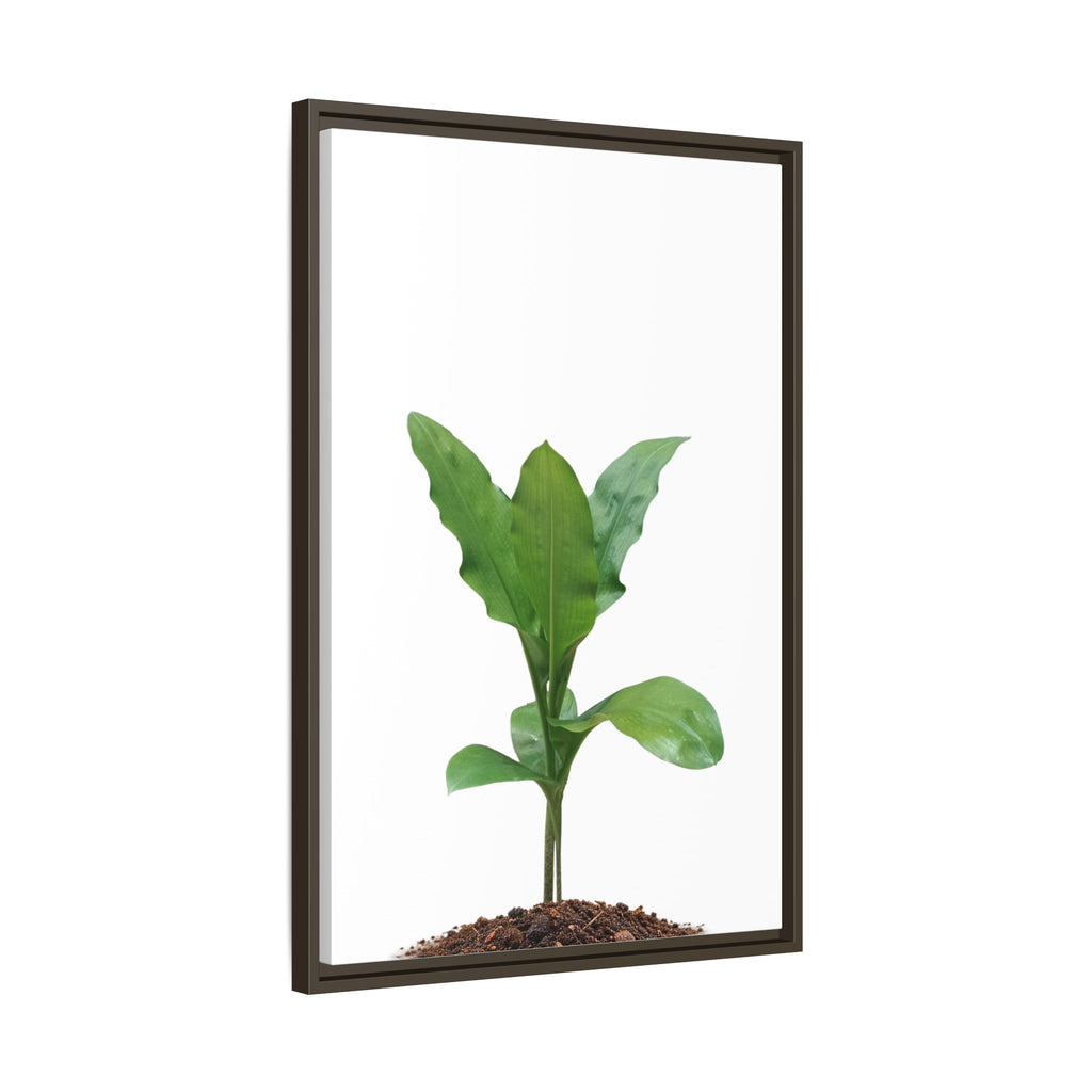 Blood Lily Plant Paintbrush Lily Plant Framed Canvas Wall Art