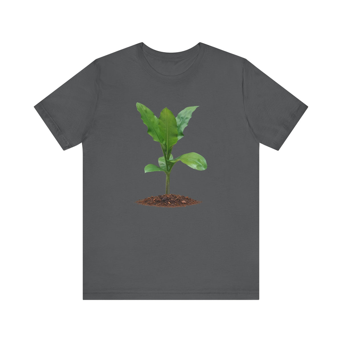 Blood Lily Botanical T-Shirt — Original Photography