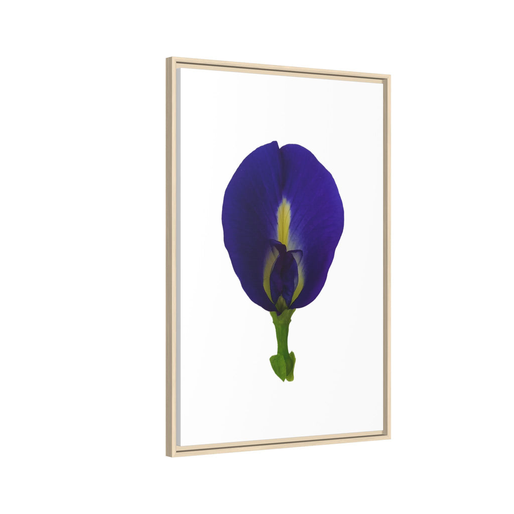 Original Butterfly Pea Flower Framed Canvas Wall Art