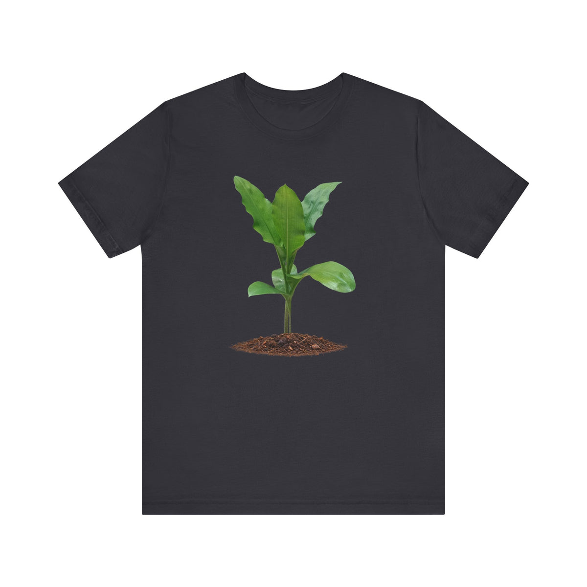 Blood Lily Botanical T-Shirt — Original Photography