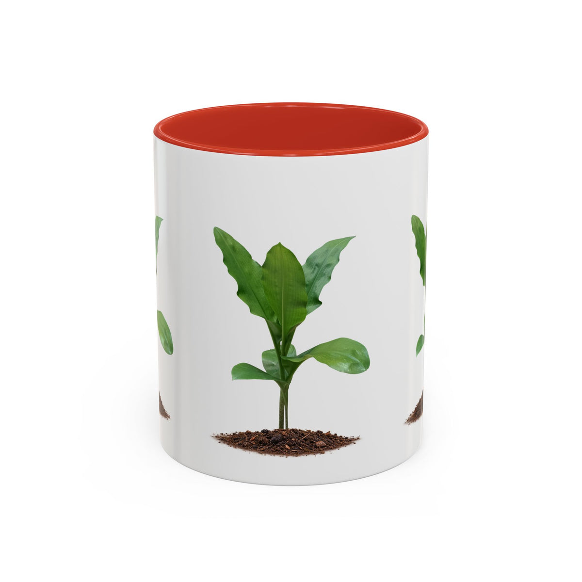 Blood Lily Ceramic Coffee Mug – Original Botanical Photography