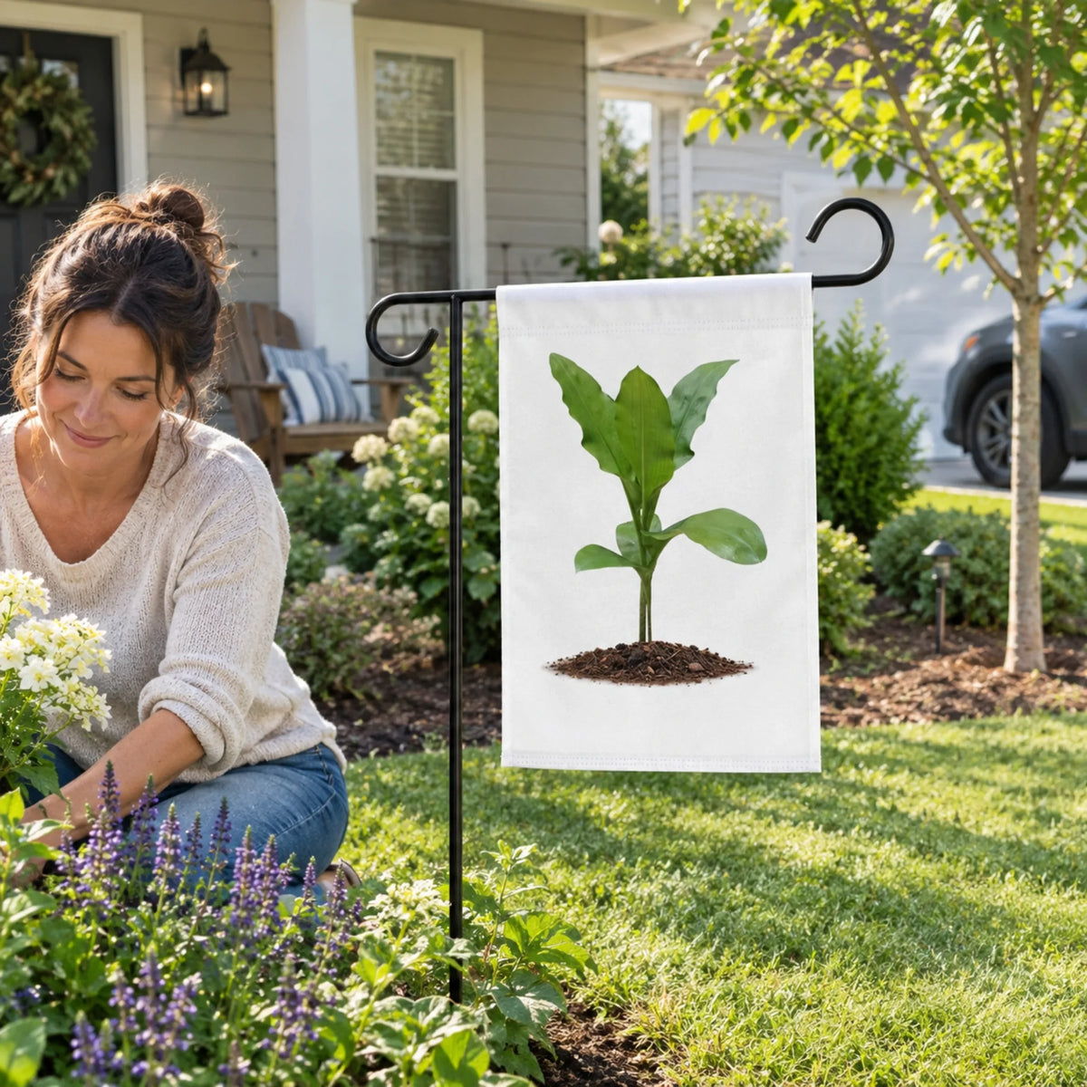 Blood Lily Plant Garden Banner | Original Botanical Photography