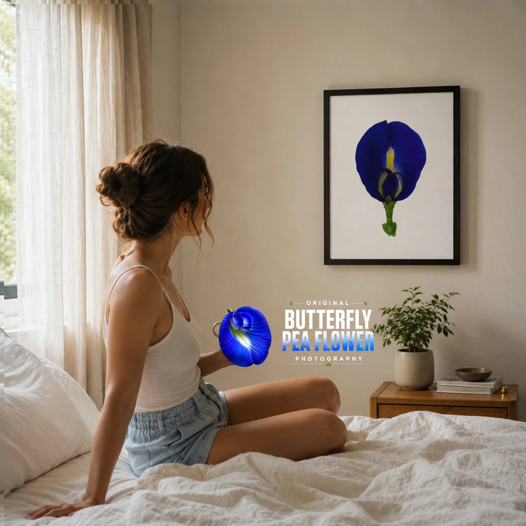 Original Butterfly Pea Flower Framed Canvas Wall Art
