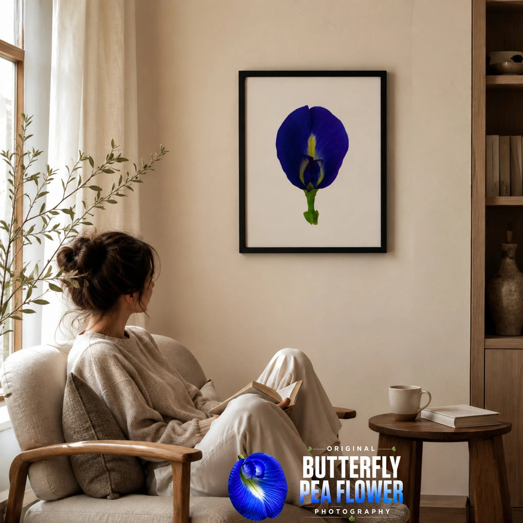 Original Butterfly Pea Flower Framed Canvas Wall Art